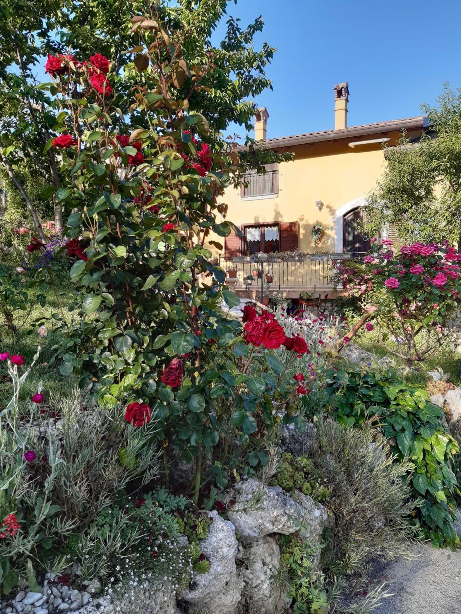 Bed and Breakfast Il Girasole Castelvecchio Calvisio Zewnętrze zdjęcie